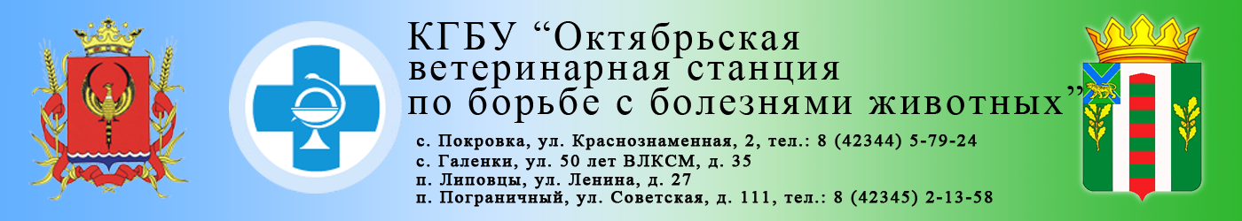 Краевое государственное бюджетное учреждение «Октябрьская ветеринарная станция по борьбе с болезнями животных»